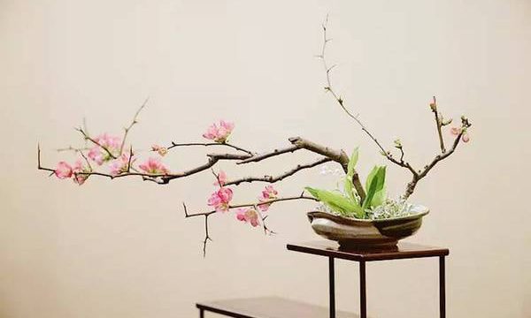 日本花道，花人花语正当时