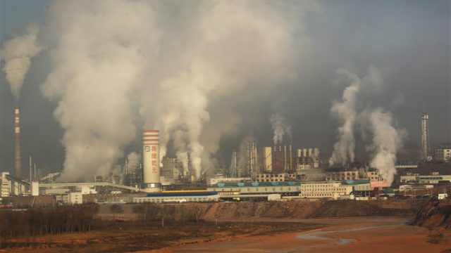 图片来源：Lu Guang / Greenpeace