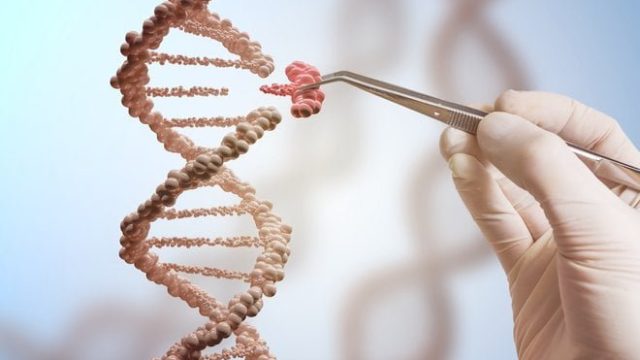 11月26日，南方科技大学生物系副教授贺建奎宣布，一对名为露露和娜娜的基因编辑婴儿于11月在中国健康诞生。