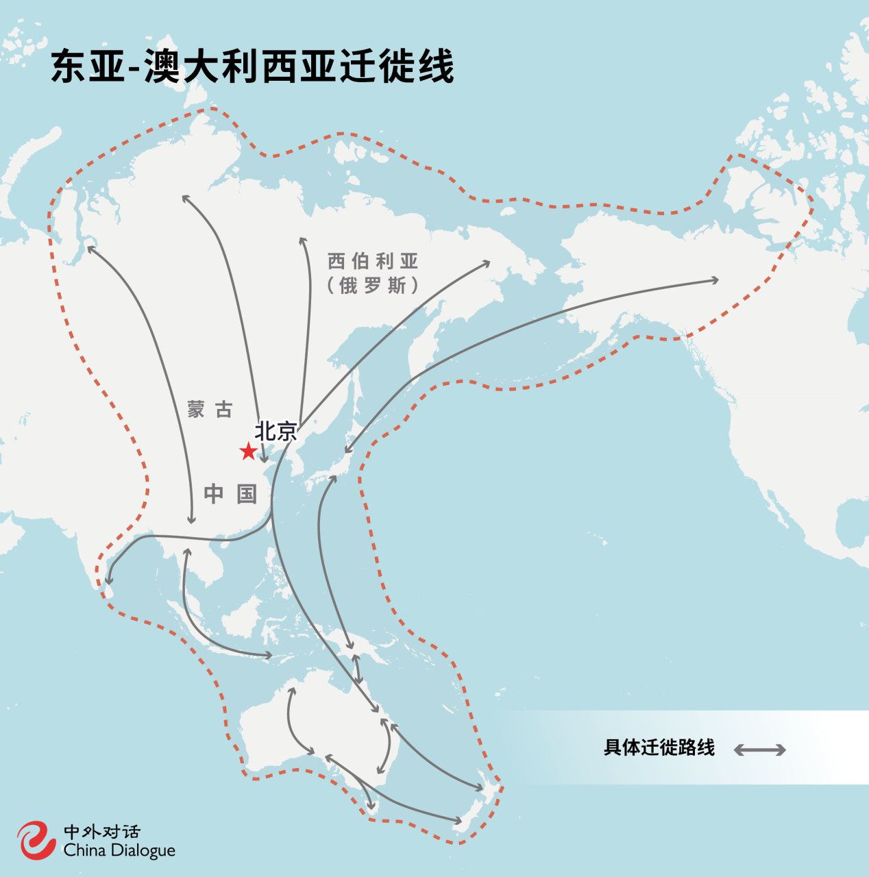 很少有人知道，北京是全球鸟类最丰富的几个首都城市之一