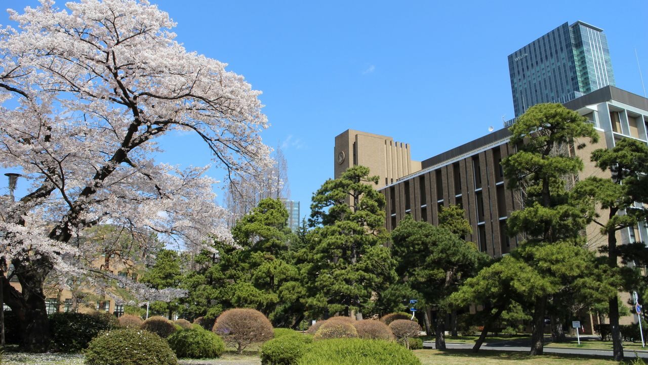没有985/211的日本大学是如何“排队”的？-1
