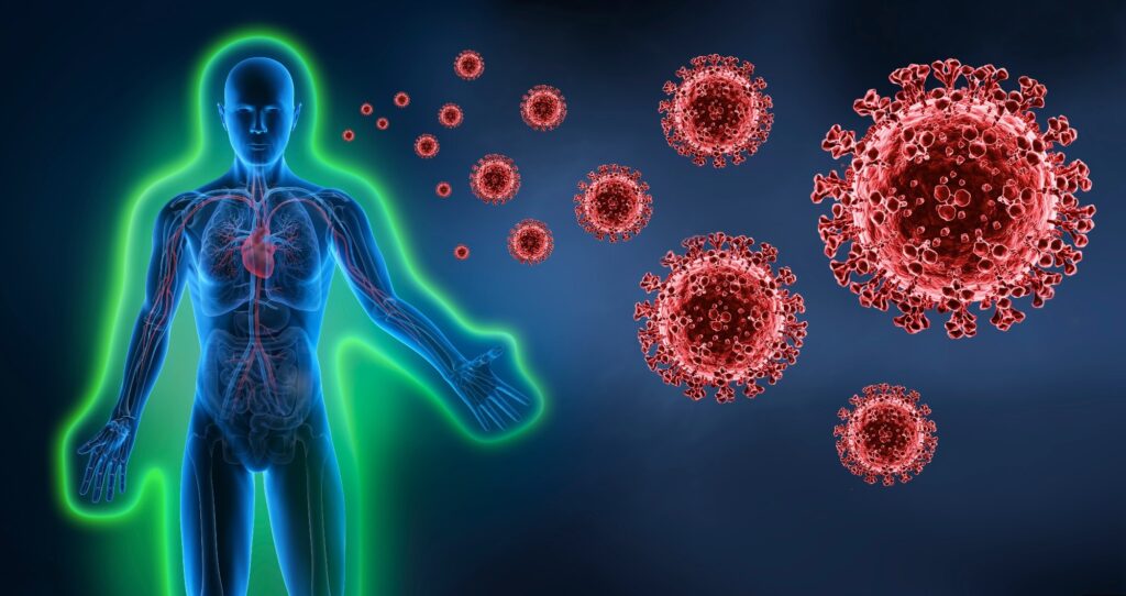 Immune Health Is All About Balance – An Immunologist Explains Why Both Too Strong and Too Weak an Immune Response Can Lead To Illness