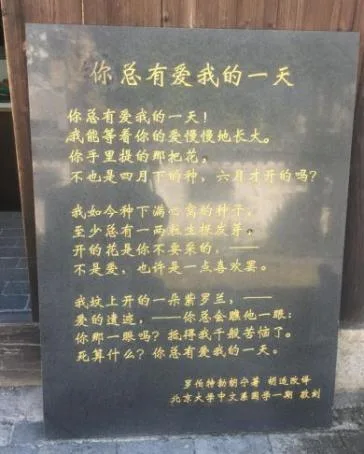 胡适的底色:跌倒了不可怕,别忘记爬起来 胡适的底色:跌倒了不可怕,别忘记爬起来