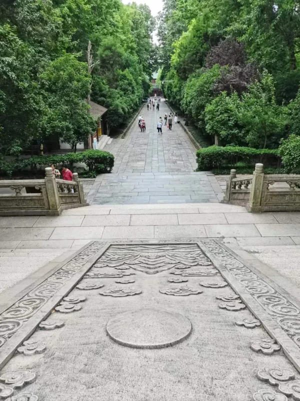 她曾是南京博物院院长,她从塔尖一跃而下 她曾是南京博物院院长,她从塔尖一跃而下