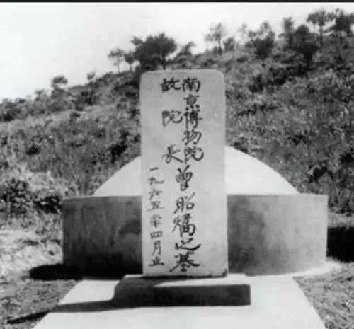 她曾是南京博物院院长,她从塔尖一跃而下 她曾是南京博物院院长,她从塔尖一跃而下