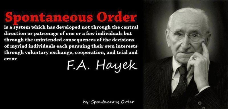段洪禹：自生自发秩序和知识的分散性——哈耶克《个人主义与经济秩序》导读